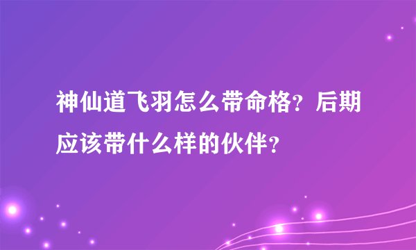 神仙道飞羽怎么带命格？后期应该带什么样的伙伴？
