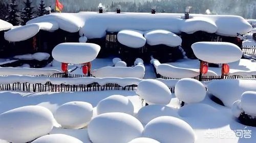 明知道雪乡宰客,为什么还有人要去,不能找正规旅行社吗?