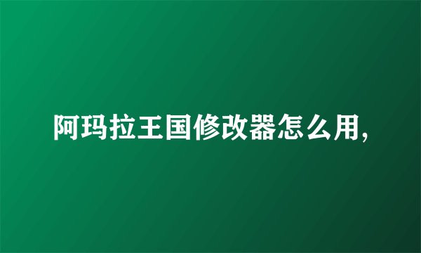 阿玛拉王国修改器怎么用,