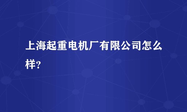 上海起重电机厂有限公司怎么样?