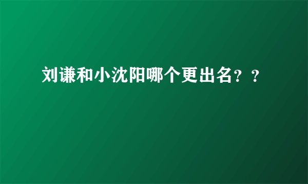 刘谦和小沈阳哪个更出名？？