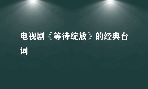 电视剧《等待绽放》的经典台词