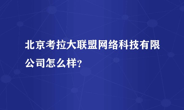 北京考拉大联盟网络科技有限公司怎么样？