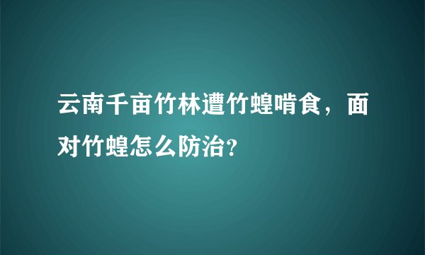 云南千亩竹林遭竹蝗啃食,面对竹蝗怎么防治?