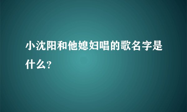 小沈阳和他媳妇唱的歌名字是什么？