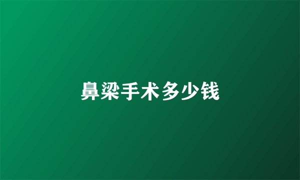 鼻梁手术多少钱