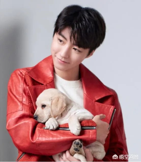 为什么兰蔻会选择王俊凯担任彩妆与香水大使？