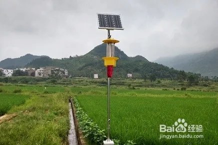 稻田杀虫灯安全使用的注意事项