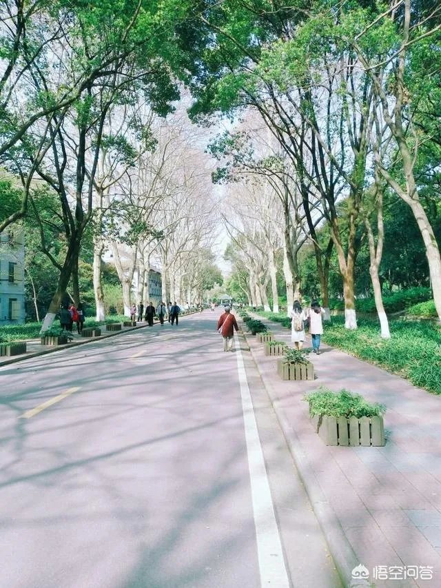 华中师范大学怎么样？
