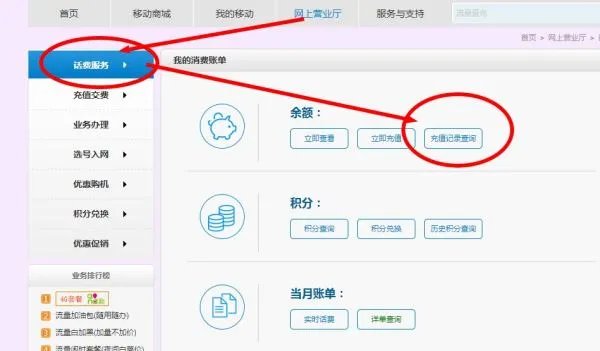 怎样在网上营业厅查询北京移动缴费记录