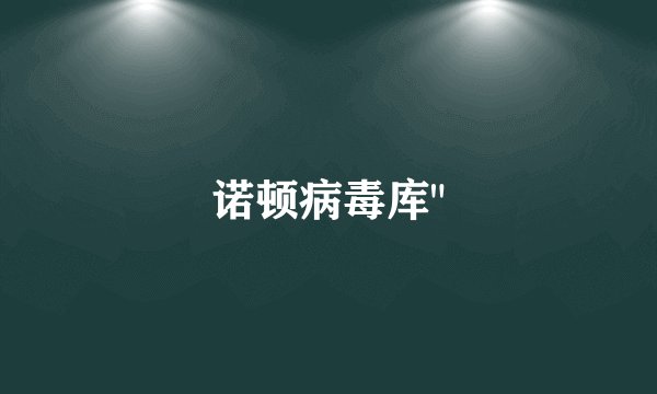 诺顿病毒库