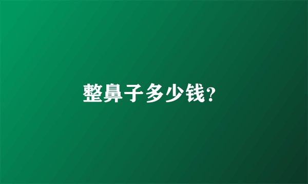整鼻子多少钱?
