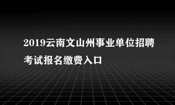 2019云南文山州事业单位招聘考试报名缴费入口