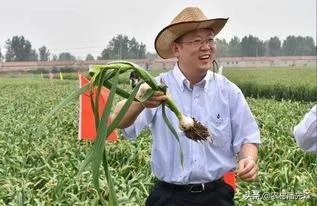 点施肥器好用吗