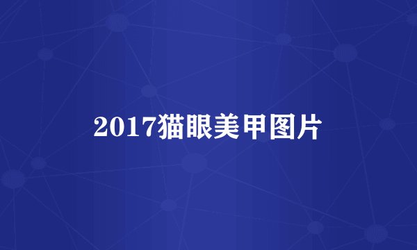 2017猫眼美甲图片