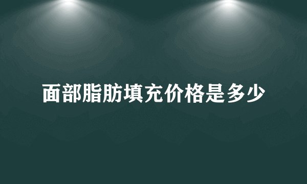 面部脂肪填充价格是多少