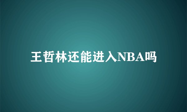 王哲林还能进入NBA吗