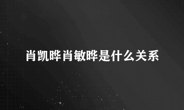 肖凯晔肖敏晔是什么关系