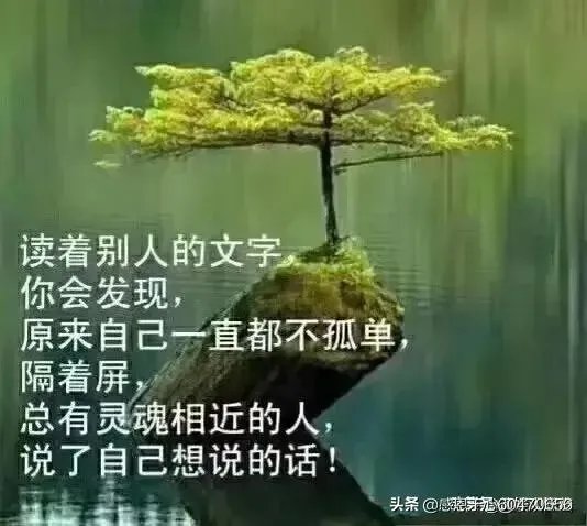 你最想看到的美国疫情的最新情况是什么?