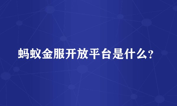 蚂蚁金服开放平台是什么？
