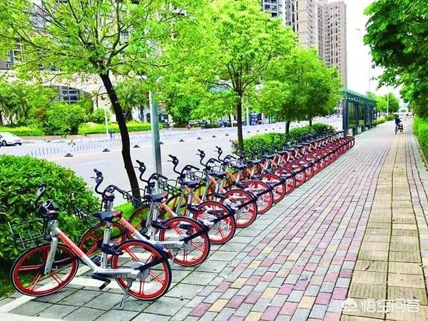 摩拜单车深圳涨价，现在骑共享单车还划算吗？