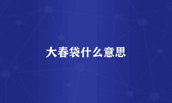 大春袋什么意思
