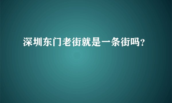 深圳东门老街就是一条街吗？