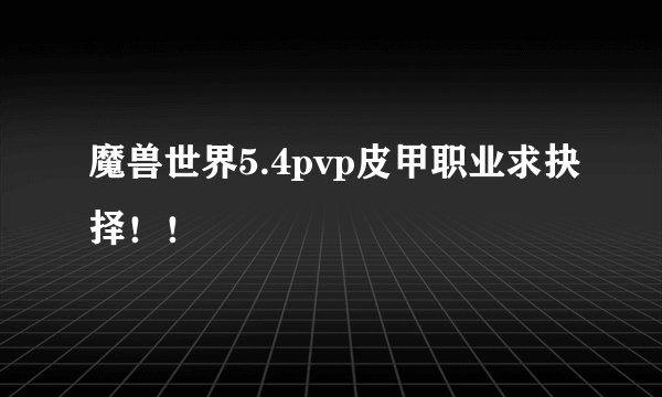 魔兽世界5.4pvp皮甲职业求抉择！！