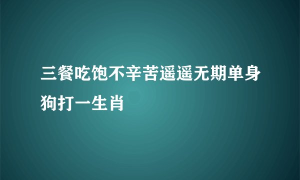 三餐吃饱不辛苦遥遥无期单身狗打一生肖