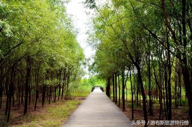 崇明有什么好玩的地方?