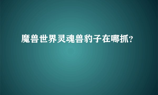魔兽世界灵魂兽豹子在哪抓？