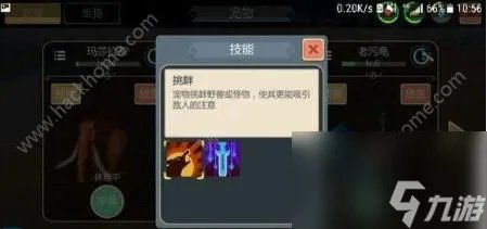 创造与魔法宠物大全宠物抓捕方法汇总介绍