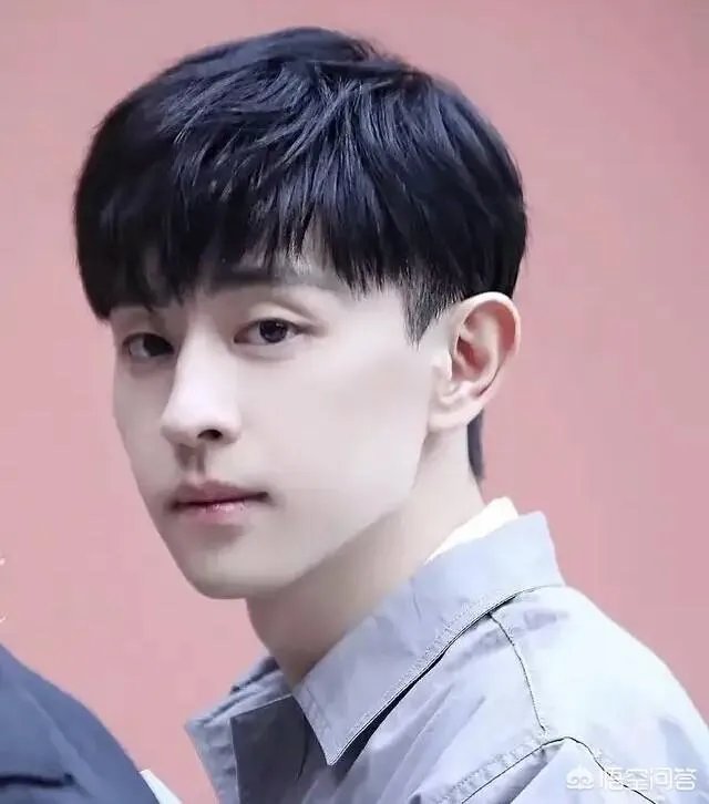2019年最期待哪个明星上春晚?