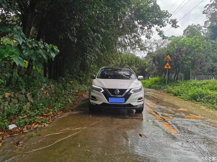 少无适俗韵,性本爱丘山,记逍客的雨林之行!