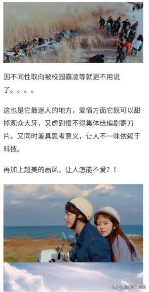 如何评价《喜欢的话请响铃》这部韩剧?