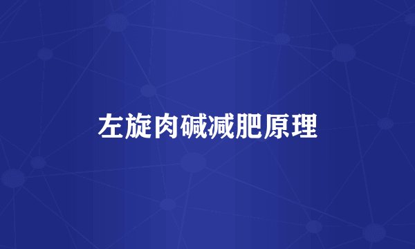 左旋肉碱减肥原理