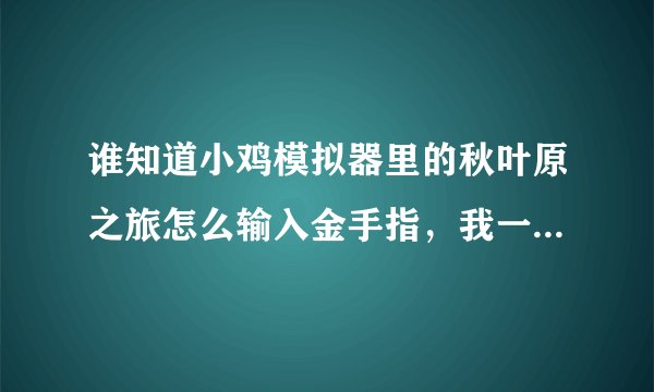 谁知道小鸡模拟器里的秋叶原之旅怎么输入金手指，我一点输入金手指就返回了，谁能告诉我，我真心感谢他？