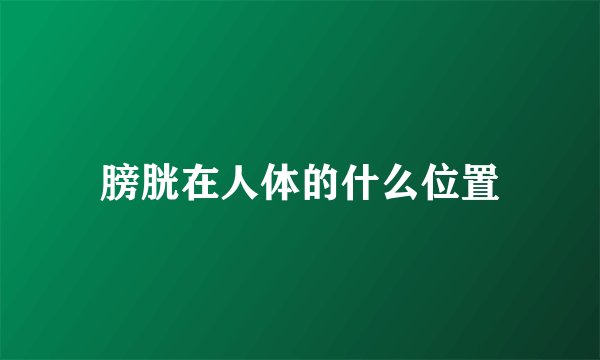 膀胱在人体的什么位置