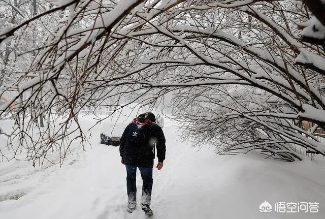 为什么说俄罗斯莫斯科2月3、4日的降雪是“世纪大雪”，人们的生活受到哪些影响？