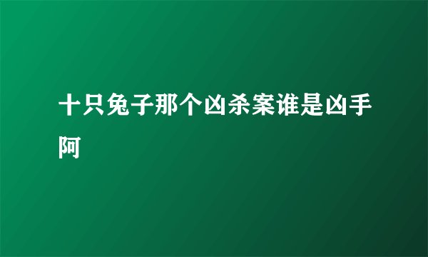 十只兔子那个凶杀案谁是凶手阿