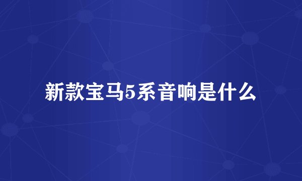 新款宝马5系音响是什么