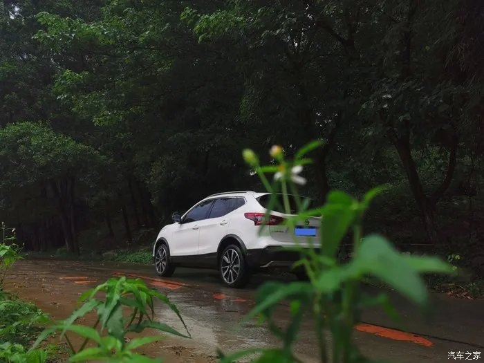 少无适俗韵,性本爱丘山,记逍客的雨林之行!