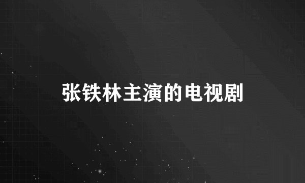 张铁林主演的电视剧