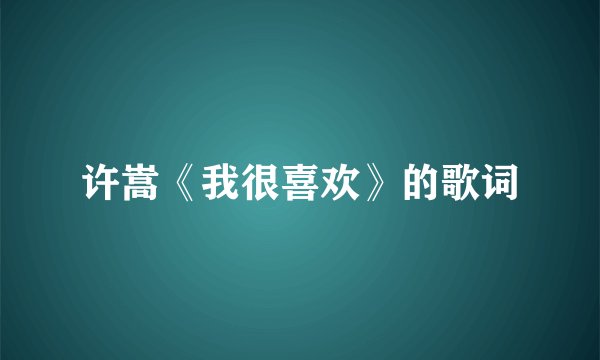 许嵩《我很喜欢》的歌词