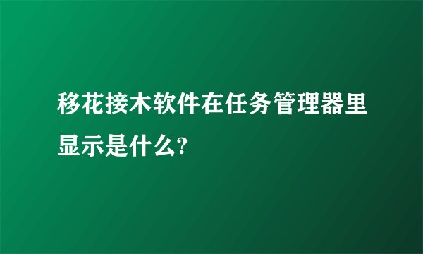 移花接木软件在任务管理器里显示是什么?
